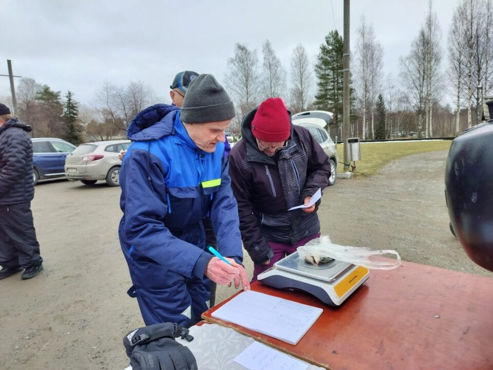 Tarkkaa punnitusta